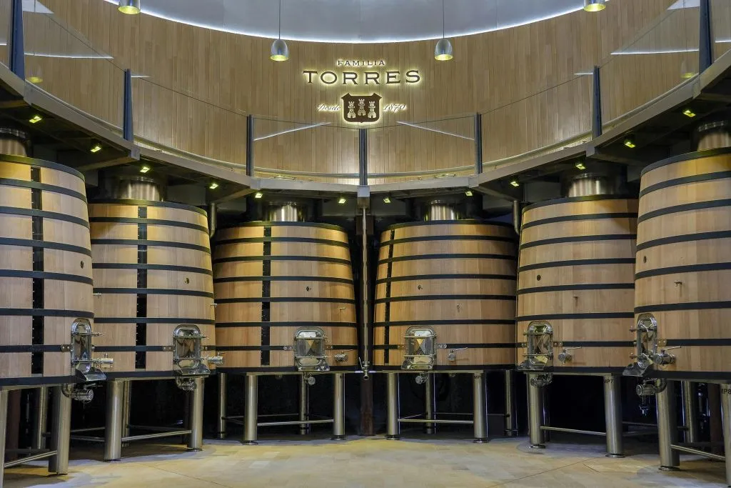 Torres Winery: Guided Tour + Wine & Tapas Pairing