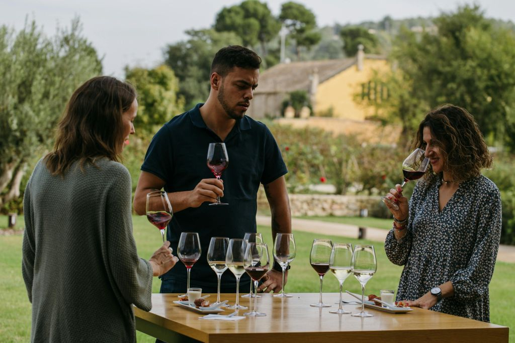 Torres Winery: Guided Tour + Wine & Tapas Pairing