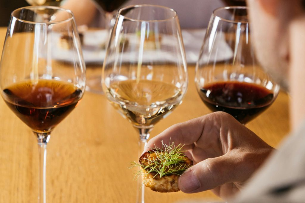 Torres Winery: Guided Tour + Wine & Tapas Pairing