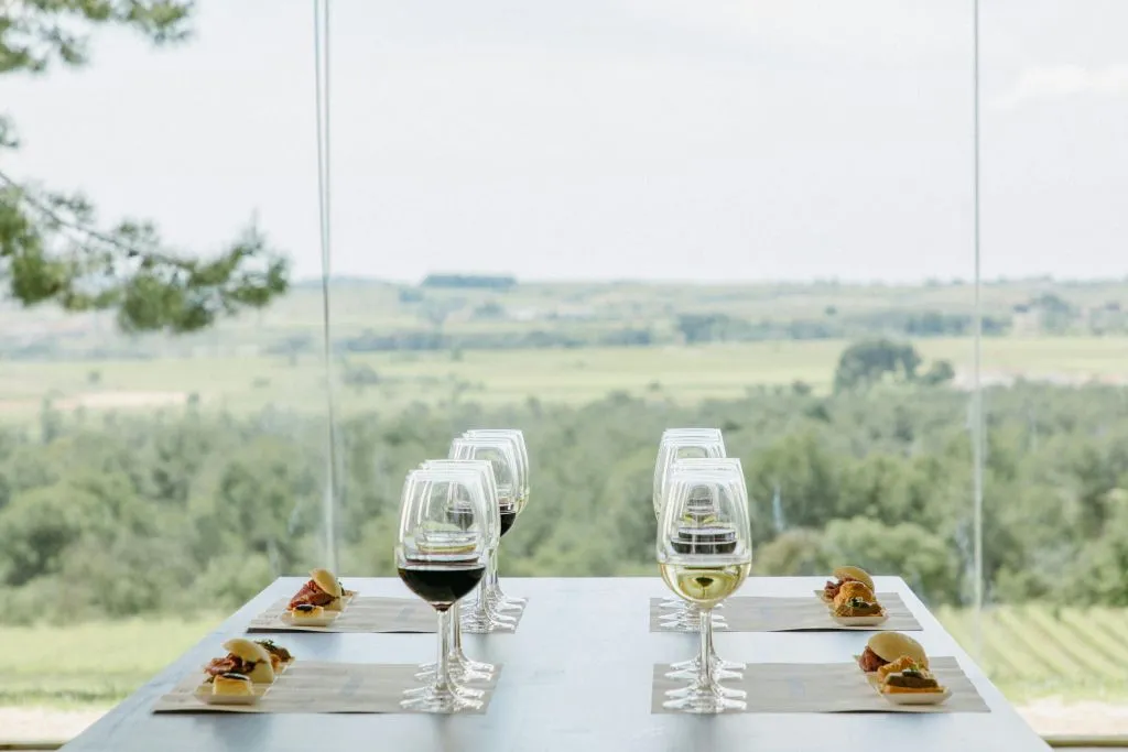 Jean Leon Winery: Guided Tour + Wine & Tapas Pairing