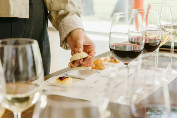 Bodega Jean Leon: Tour guiado + Maridaje de vinos y tapas