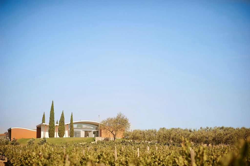 Jean Leon Winery: Guided Tour + Wine & Tapas Pairing